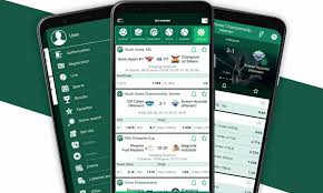 Discover the Excitement of BetWinner Online Casino -818897230