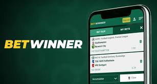 Explore the Exciting BetWinner Bonus Details
