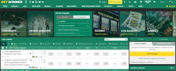 Step-by-Step Guide to BetWinner Brazil Registration Process -838027230
