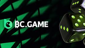 Ultimate Guide to BC.Game Bonuses and Promo Codes